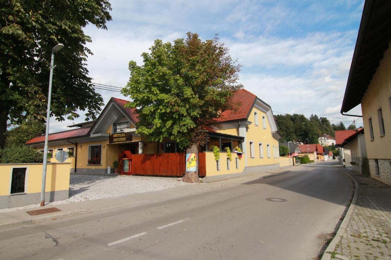 Penzion Repansek Radomlje Luaran gambar